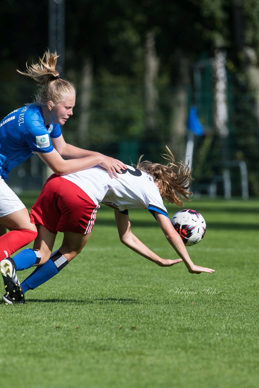 Bild 369 - wBJ Hamburger SV - Holstein Kiel : Ergebnis: 2:0